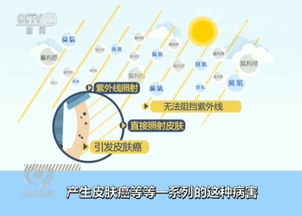 廢家電的歸途 一場(chǎng)綠色轉(zhuǎn)型的戰(zhàn)役